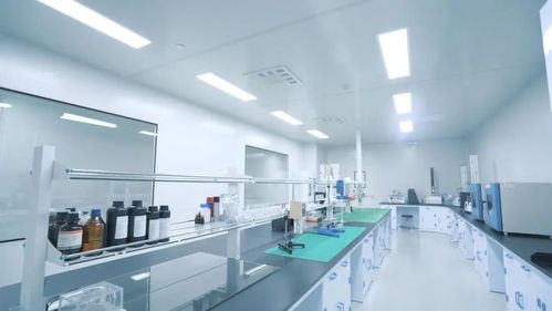 鑄就極致產品 打響中國智造 走進中威時和汽車膜工廠的技術服務探索